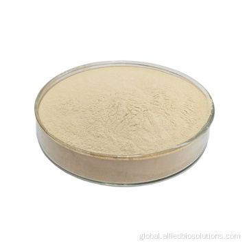 Thickening Agent High quality gelatin powder Supplier